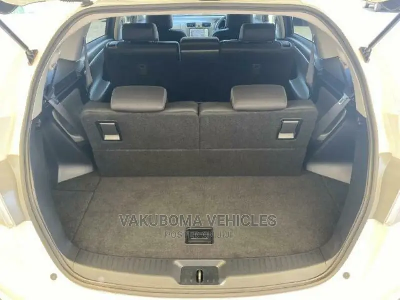 Toyota Mark X Zio 2010 Pearl