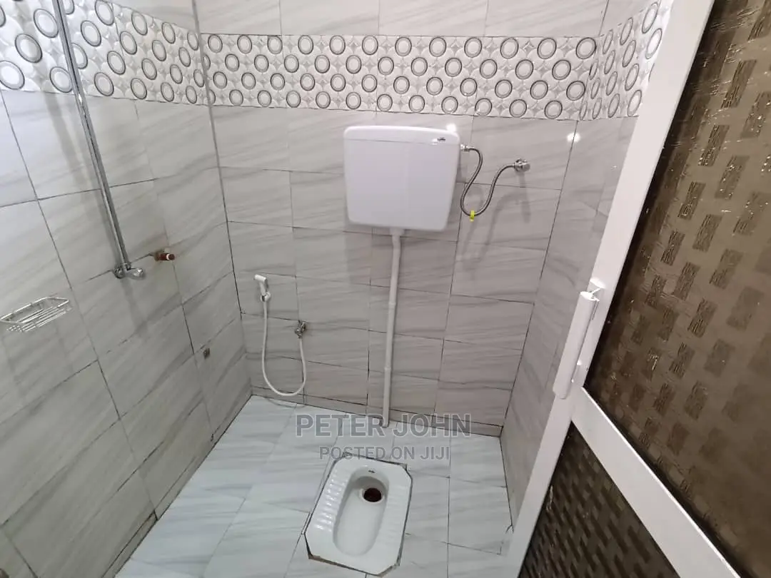 2bdrm Apartment in Mikocheni for Rent