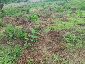 Kiwanja Karibu Na Lami Tambarare