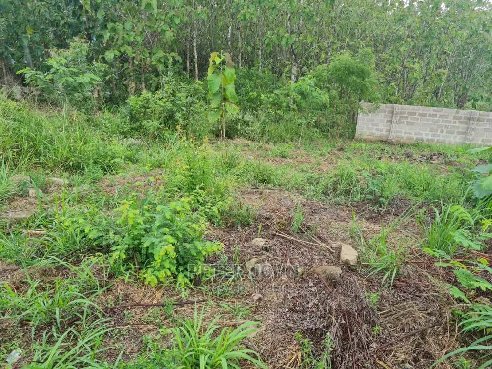 Kiwanja Karibu Na Lami Tambarare