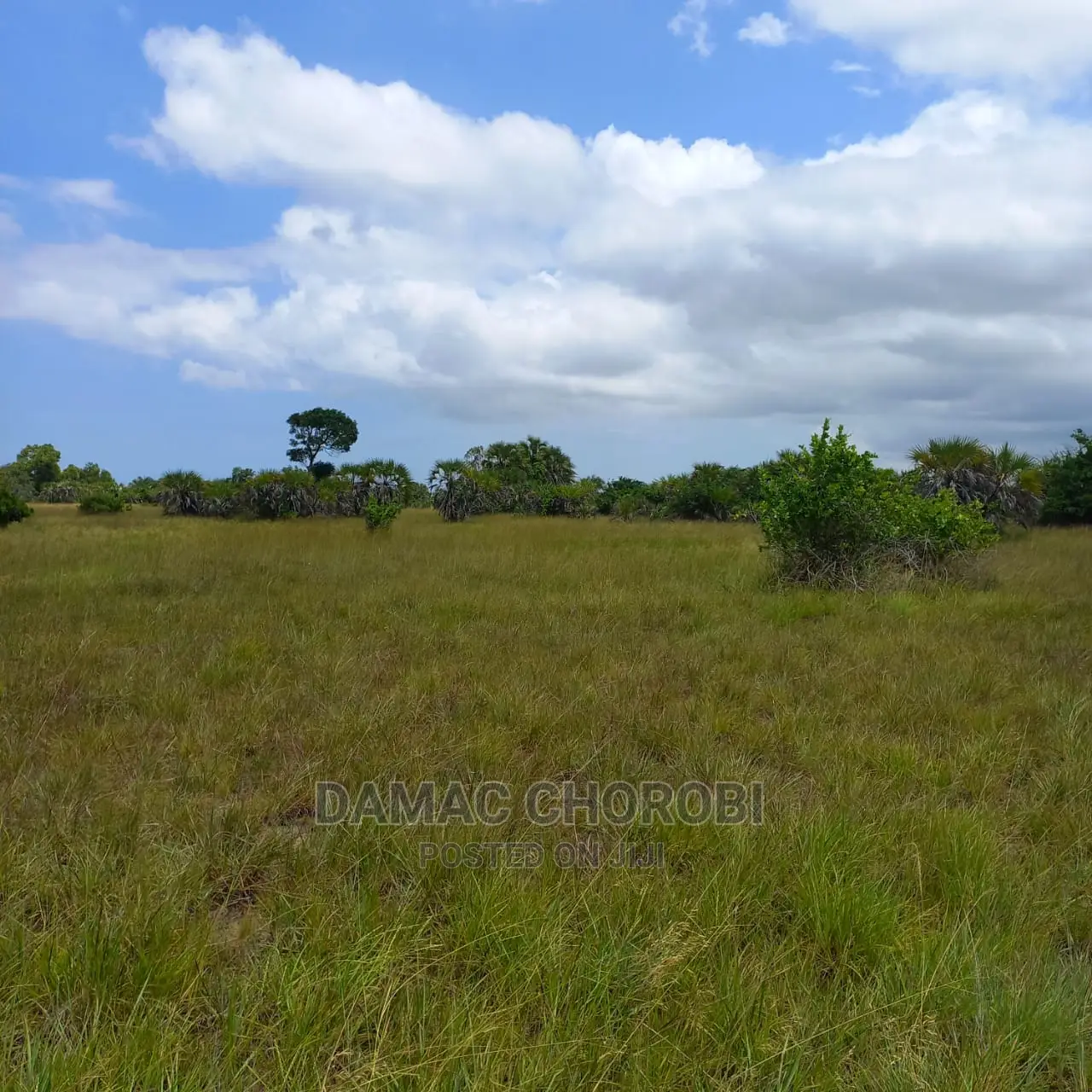 Acre 11000 Zinauzwa Tanga Shamba Limezungukwa Na Mito