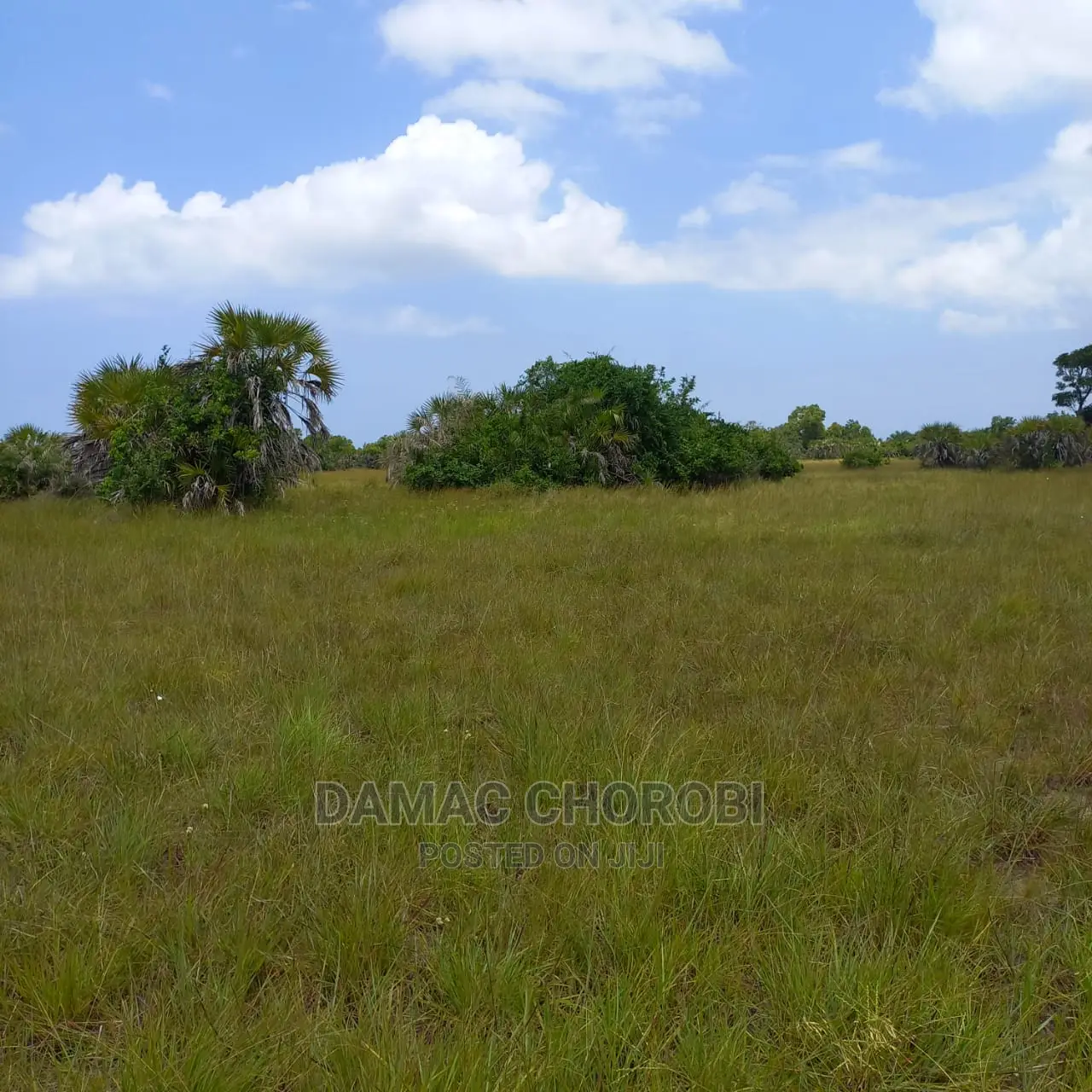 Acre 11000 Zinauzwa Tanga Shamba Limezungukwa Na Mito