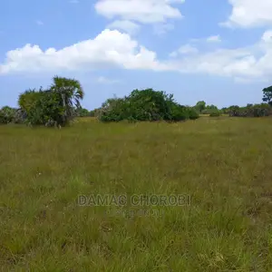 Acre 11000 Zinauzwa Tanga Shamba Limezungukwa Na Mito