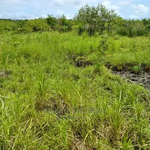 Shamba Kubwa Acre 2000 Linauzwa