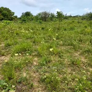 Shamba Kubwa Acre 2000 Linauzwa