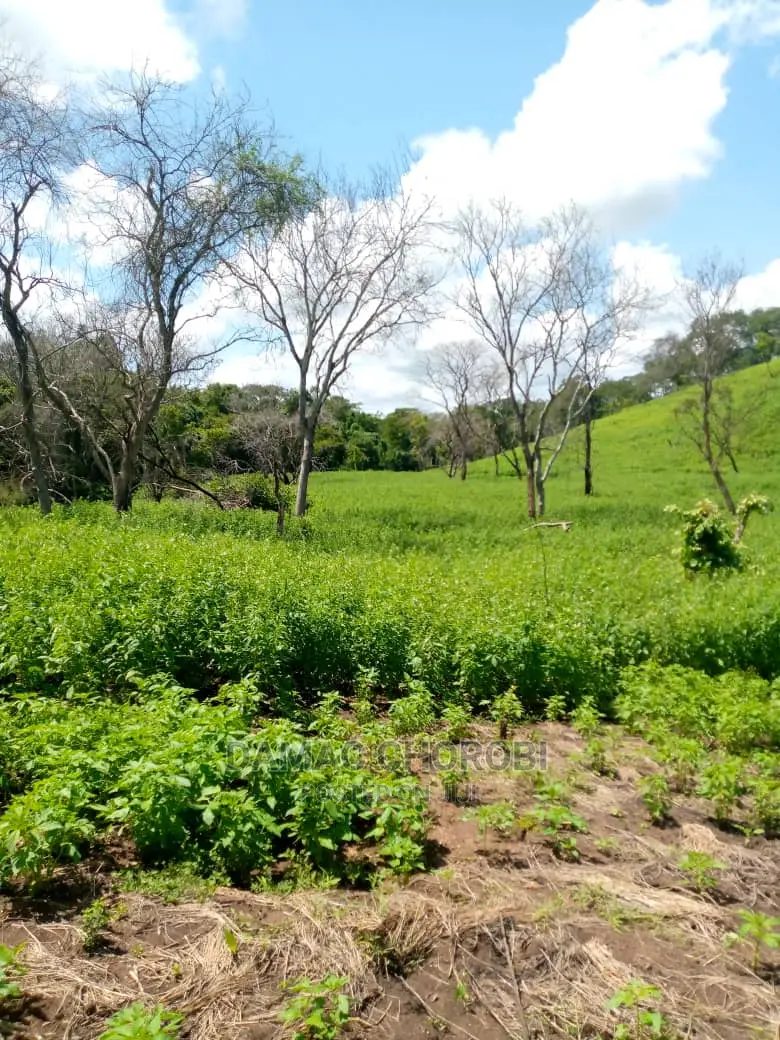 Acre 2500 Bwawani Morogoro in Morogoro Urban Land & Plots for Sale