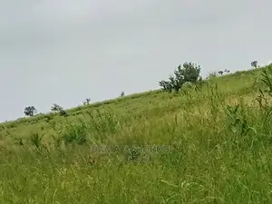Acre Hizi Zinauzwa Mto Wami Kwa Kilimo Cha Kumwagilia