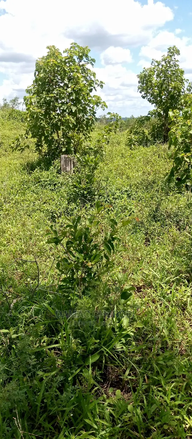 Shamba Acre 1700 Ngerengere Linauzwa