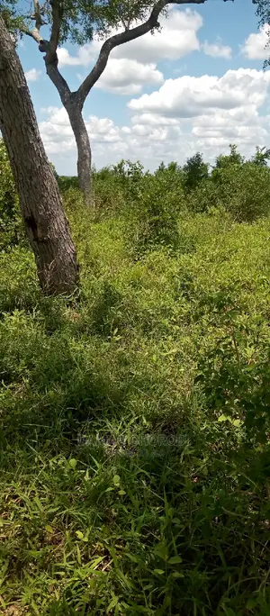 Shamba Acre 1700 Ngerengere Linauzwa