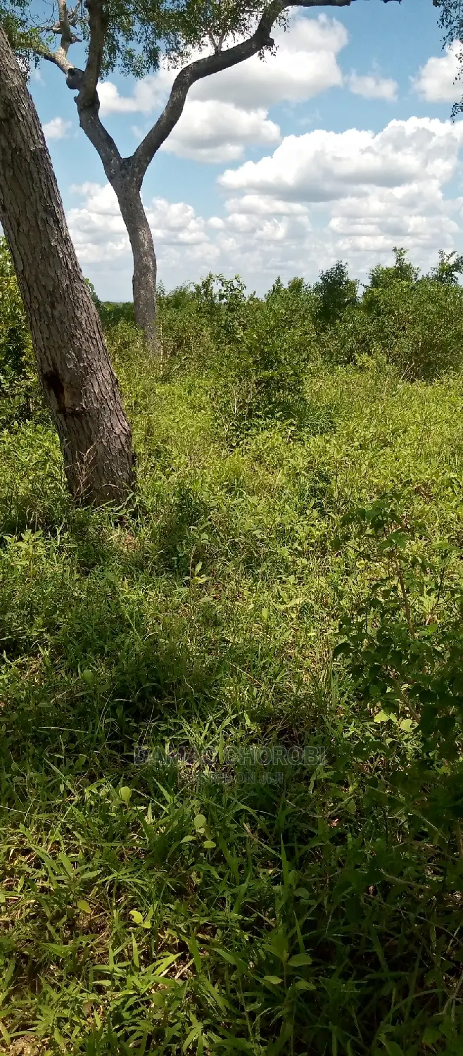 Shamba Acre 1700 Ngerengere Linauzwa