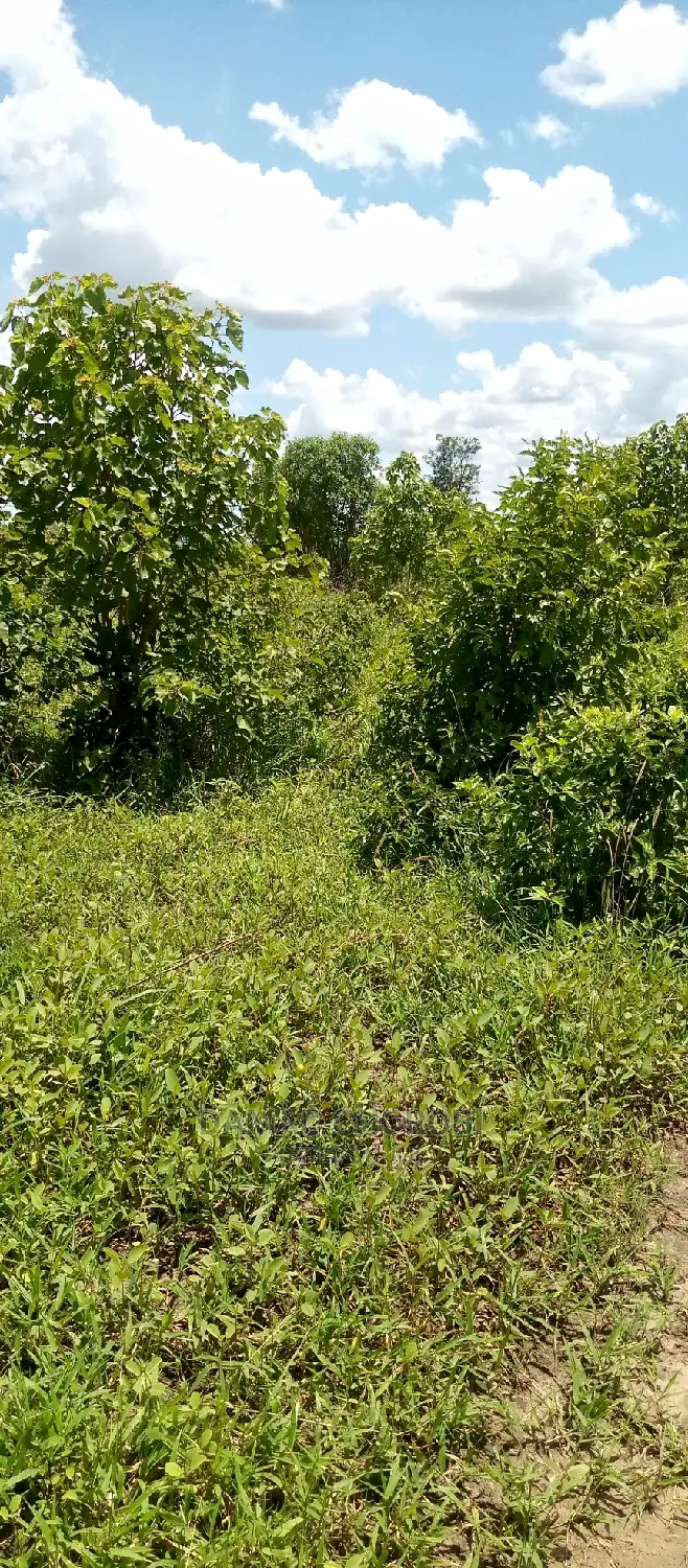 Shamba Acre 1700 Ngerengere Linauzwa
