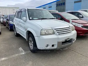 Suzuki Escudo 2004 Pearl