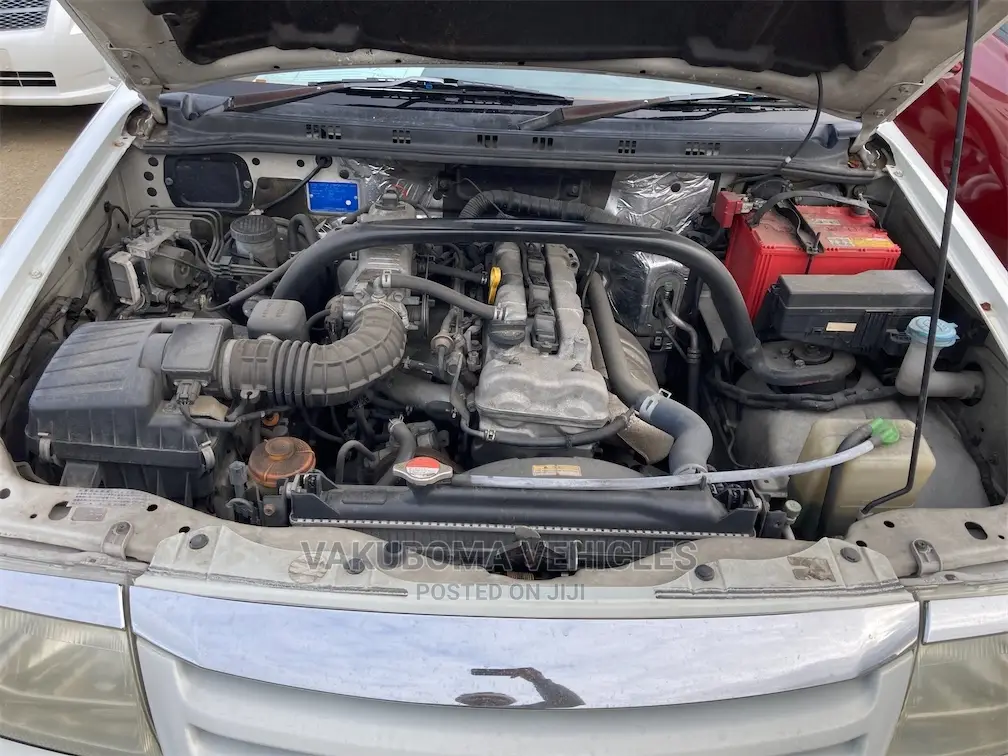 Suzuki Escudo 2004 Pearl
