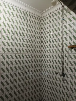 1bdrm Apartment in Kinondoni for Rent