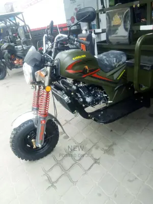 New Aprilia 2019 Green