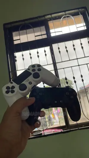 Original Ps4 Controller