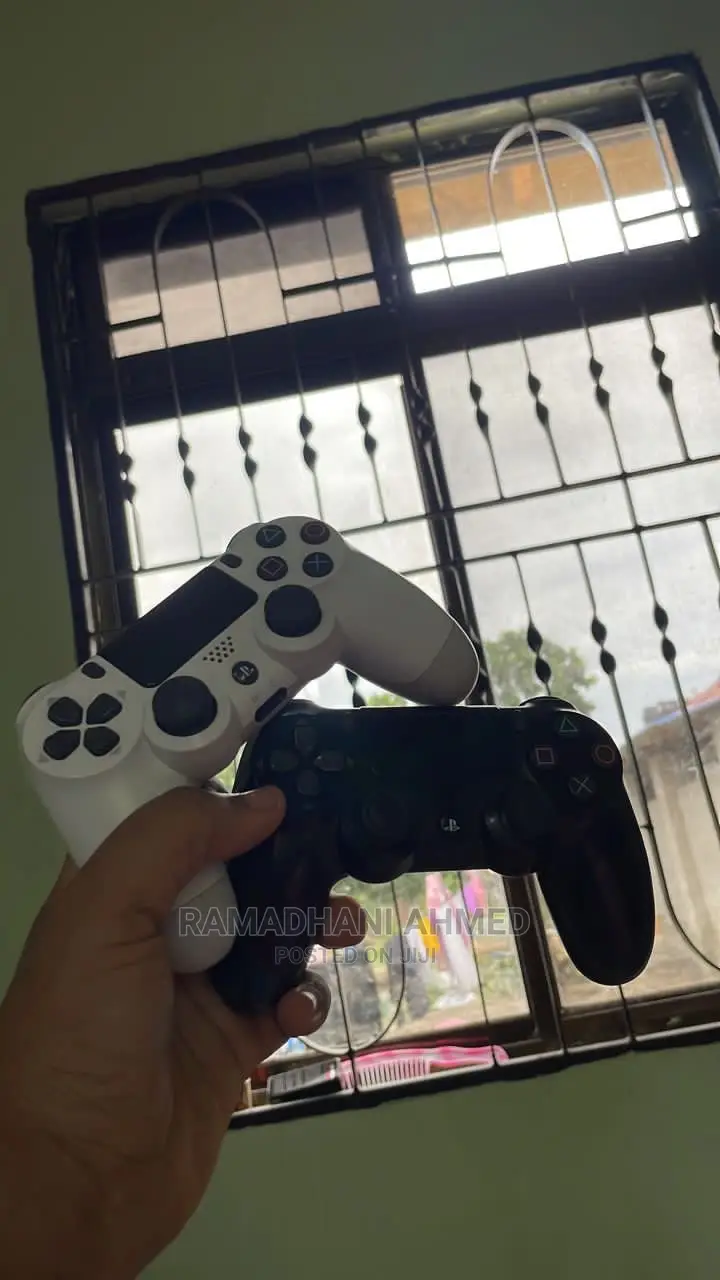 Original Ps4 Controller