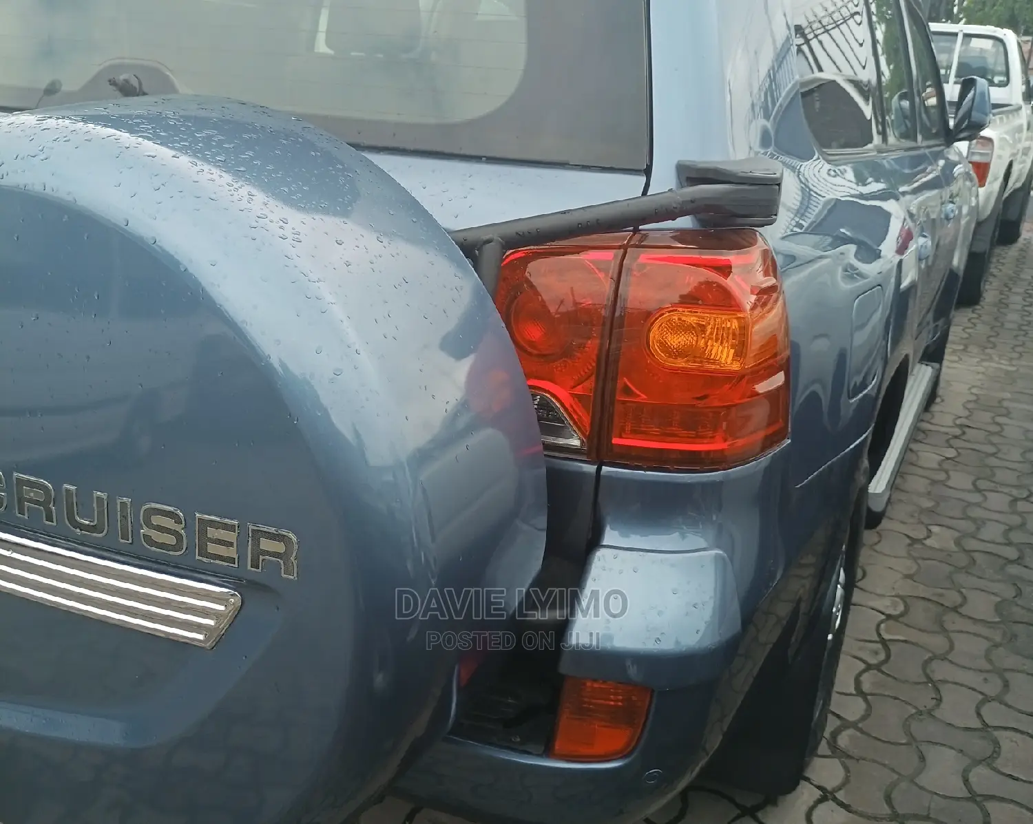 Toyota Land Cruiser 2010 Gray