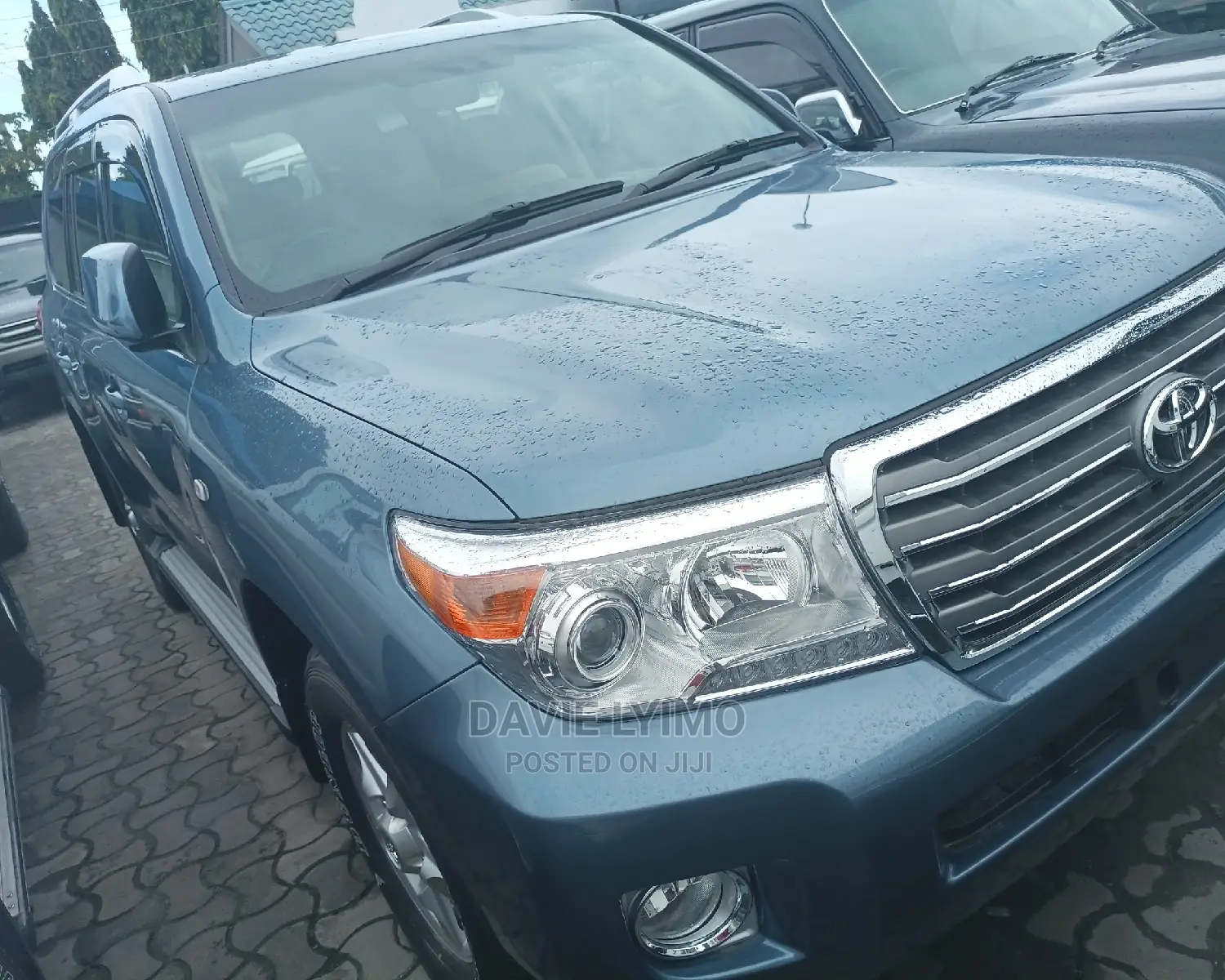 Toyota Land Cruiser 2010 Gray