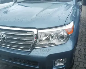 Toyota Land Cruiser 2010 Gray