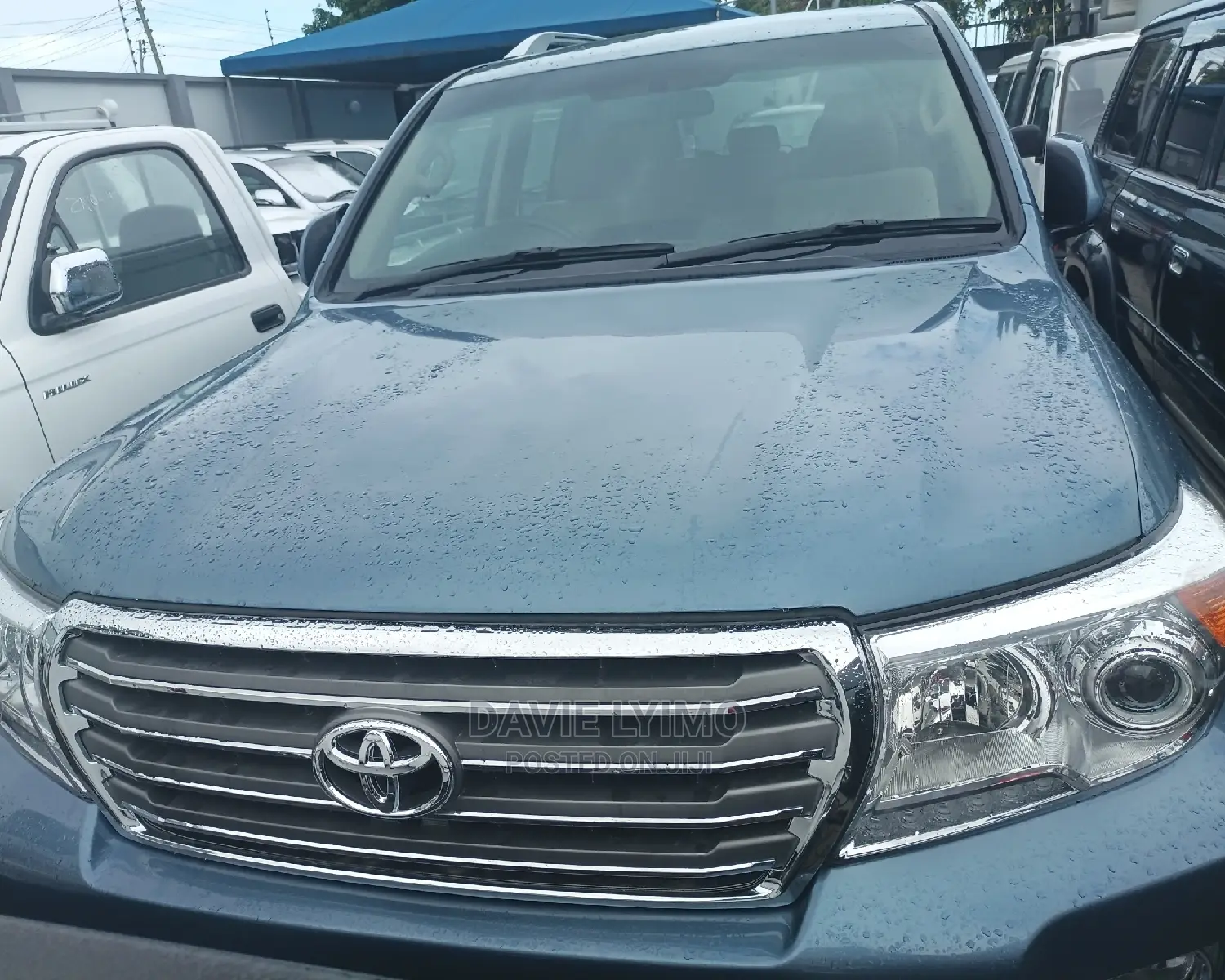 Toyota Land Cruiser 2010 Gray