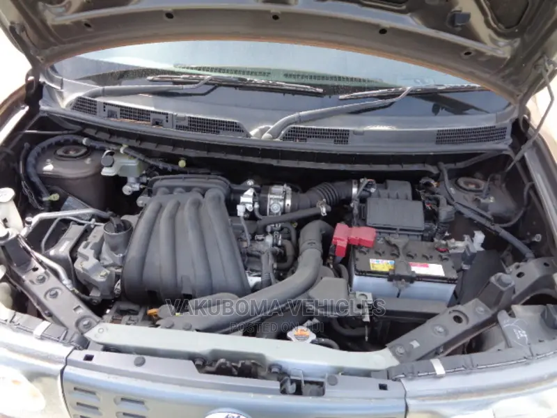 Nissan Cube 2011 Brown