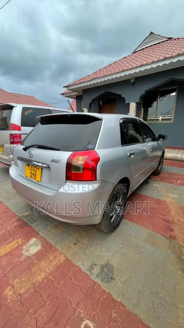 Toyota Allex 2004 Silver