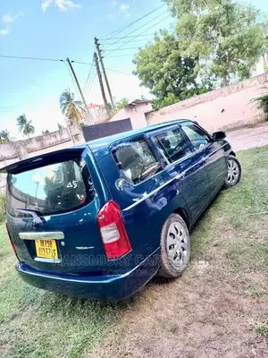 Toyota Probox 2008 Blue