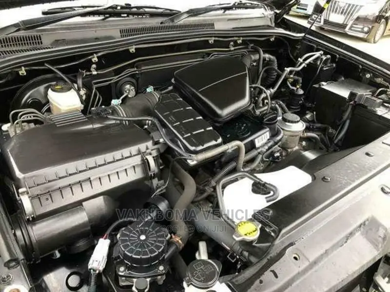 Toyota Hilux Surf 2007 Black