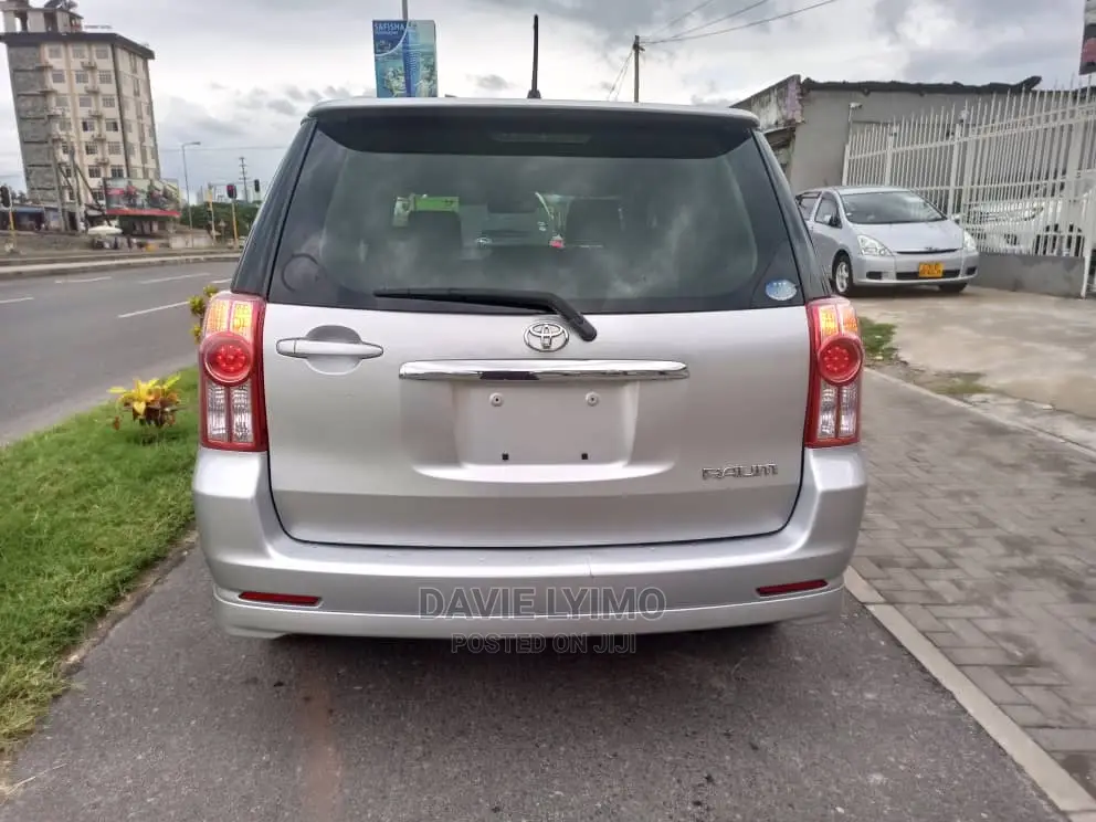 Toyota Raum 2007 Silver