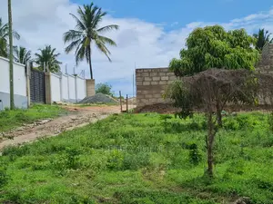 Kiwanja Kikubwa Karibu Na Lami