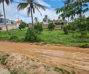 Kiwanja Kikubwa Karibu Na Lami