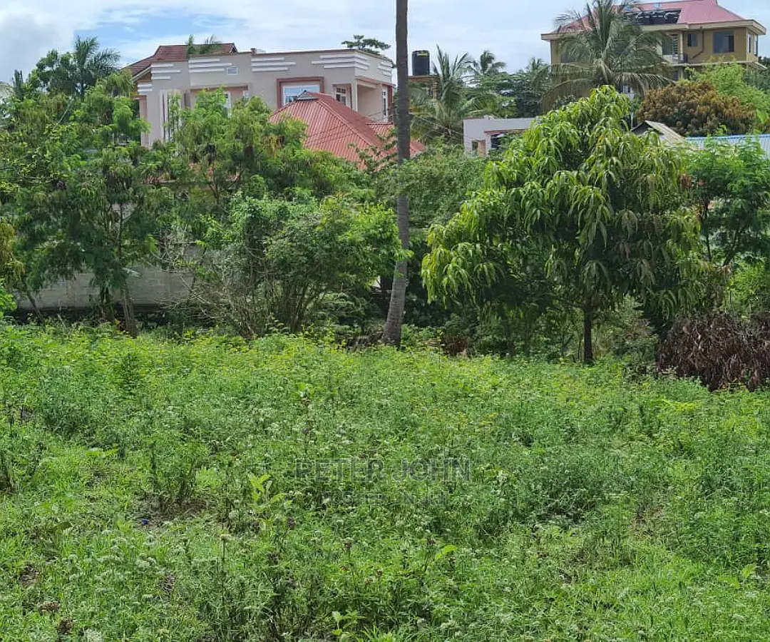 Kiwanja Kikubwa Karibu Na Lami