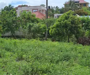 Kiwanja Kikubwa Karibu Na Lami