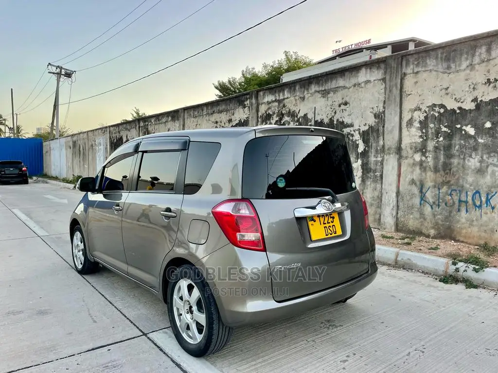 Toyota Ractis 2007 Gray