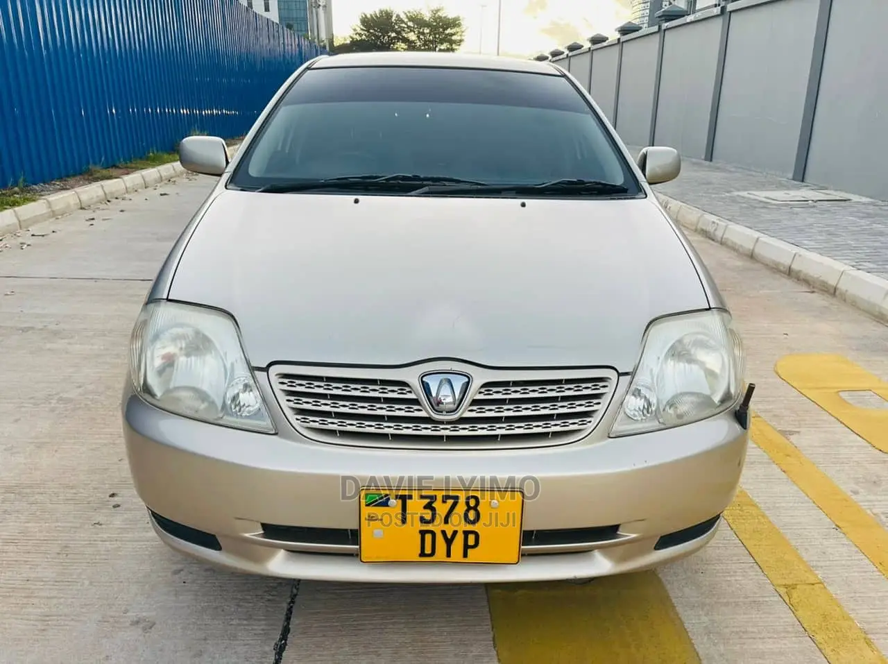 Toyota Allex 2003 Gold