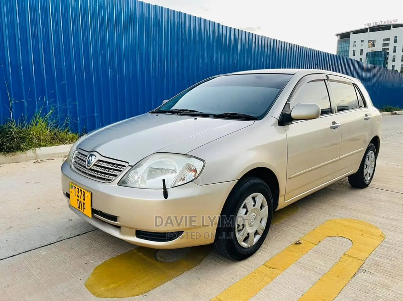 Toyota Allex 2003 Gold