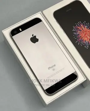 Apple iPhone 5s 32 GB Gray