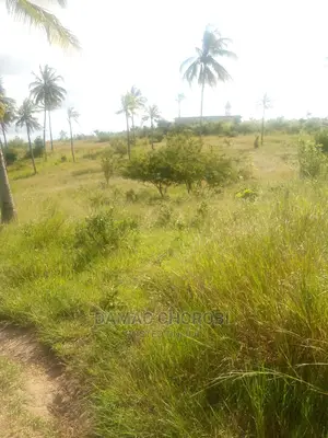 Shamba Linauzwa Ukubwa Acre 107 Limetazama Barabara Kuu Tang