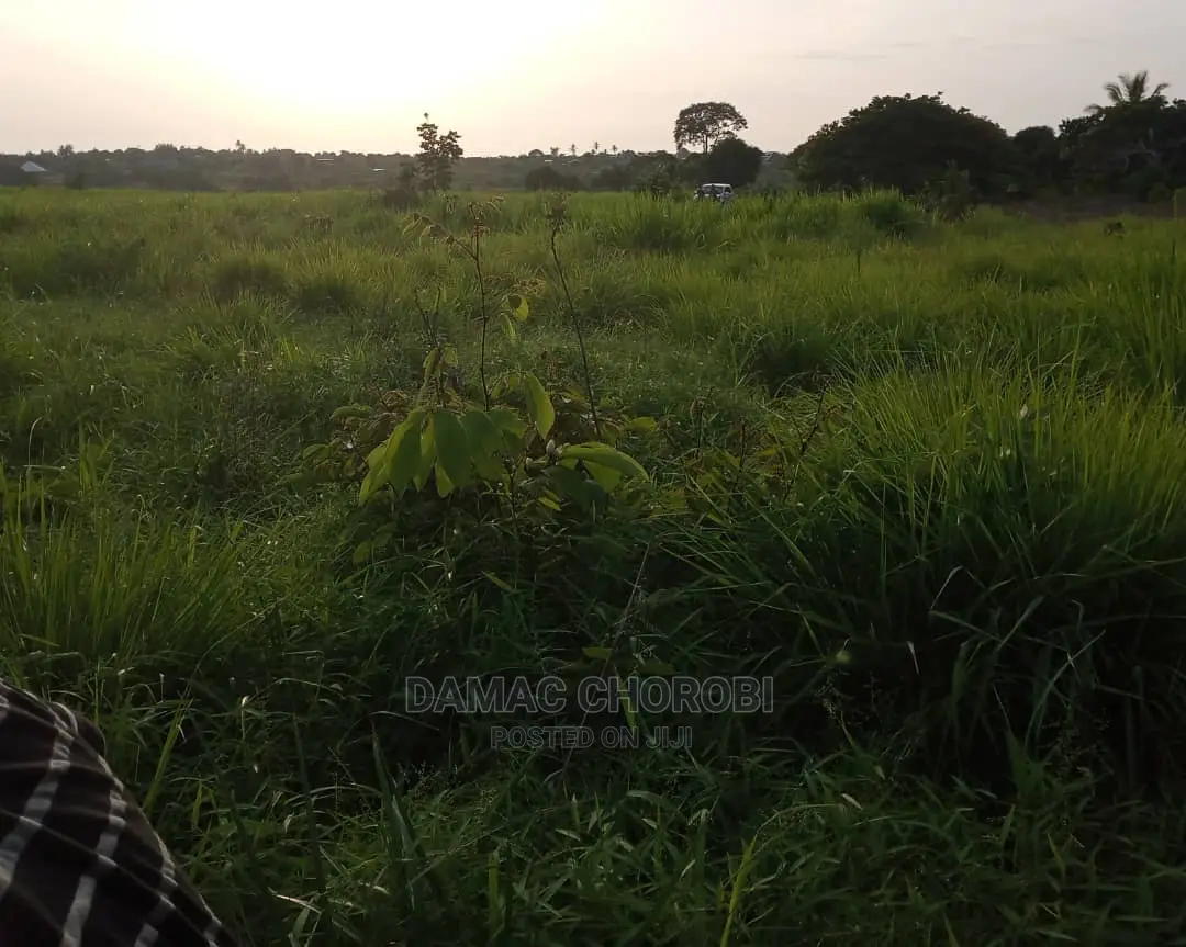 Mashamba Bora Kwa Kilimo Mashamba Safi Kwa Makazi Na Kufuga