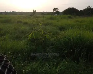 Mashamba Bora Kwa Kilimo Mashamba Safi Kwa Makazi Na Kufuga
