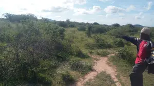 Mashamba Bora Kwa Kilimo Mashamba Safi Kwa Makazi Na Kufuga