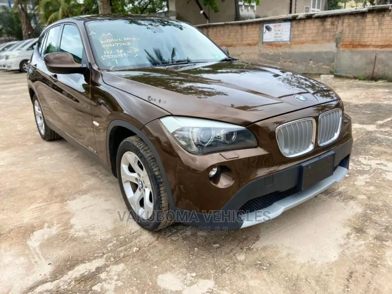 BMW X1 2010 Brown