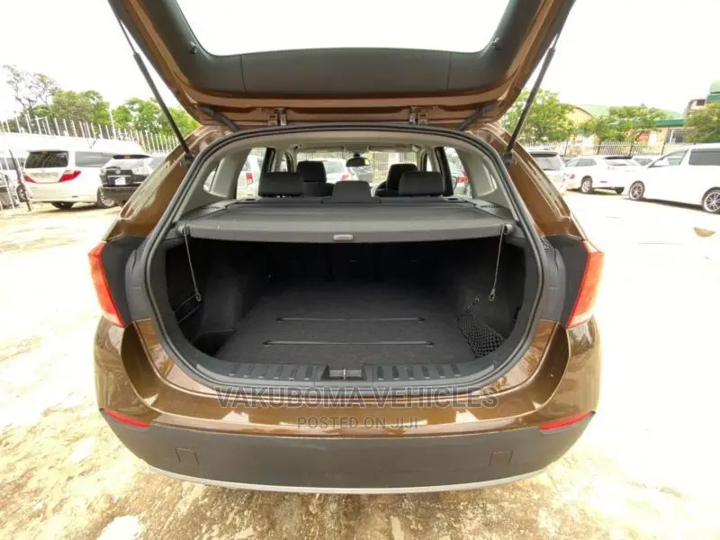 BMW X1 2010 Brown