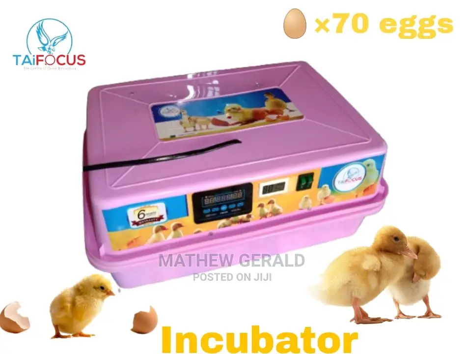 Eggs Incubator ( Manual)