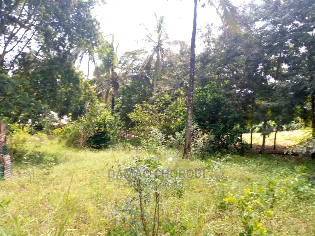 Mashamba Bora Kwa Kilimo Kufuga Mashamba Safi Karibu