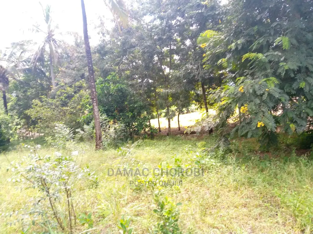 Mashamba Bora Kwa Kilimo Kufuga Mashamba Safi Karibu