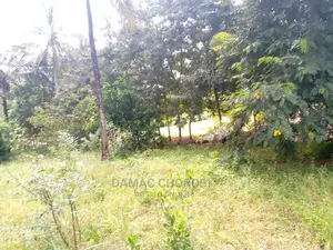 Mashamba Bora Kwa Kilimo Kufuga Mashamba Safi Karibu