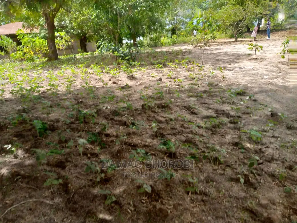 Mashamba Bora Kwa Kilimo Kufuga Mashamba Safi Karibu