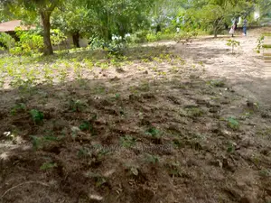 Mashamba Bora Kwa Kilimo Kufuga Mashamba Safi Karibu